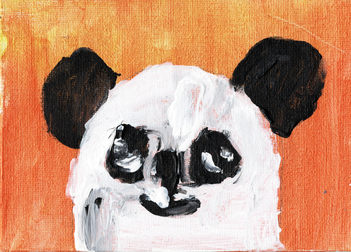 Momo the Doodle Panda Collection